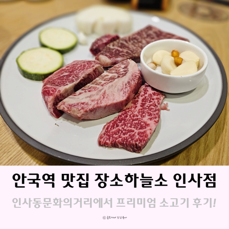 안국역 맛집 인사동문화의거리에서 프리미엄 한우를 맛볼 수 있는 장수하늘소