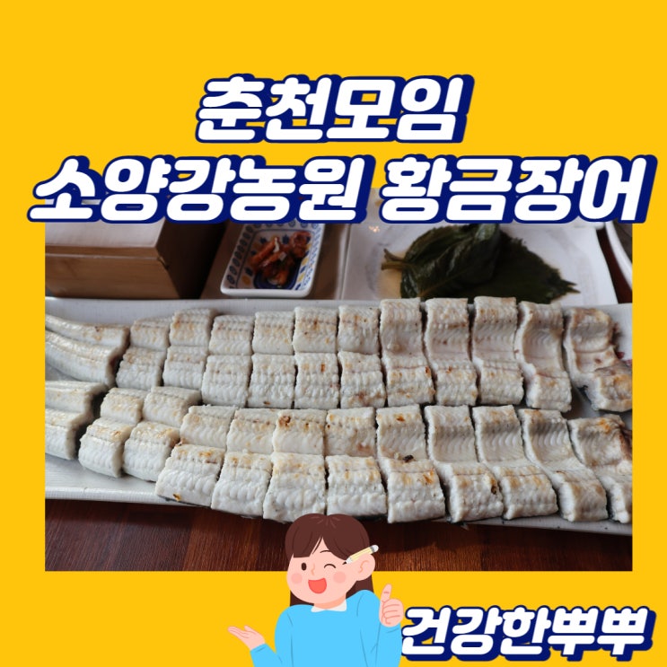  춘천모임 하기 좋은 소양강농원 황금장어 춘천장어맛집 인정