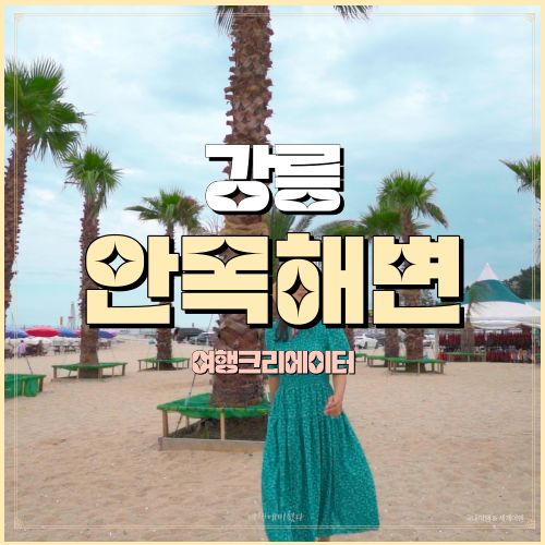  놀면뭐하니 촬영지 강릉항 강원도 강릉 여행, 서울 근교 당일치기 관광지, 커피거리, 울릉도 배편, 송정동 강릉항, 안목 해변, 강릉항