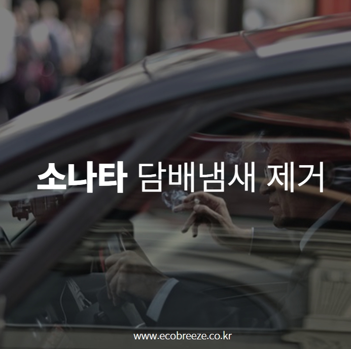  차 담배냄새 제거후 스트레스 해소되었네요.