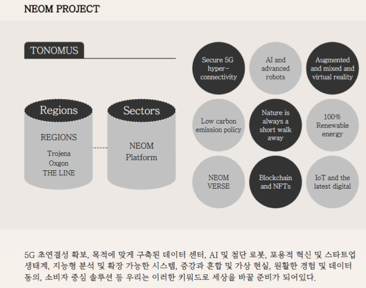  네옴시티에서 상용화될 네옴코인 NEOM 코인, 이대로 떡상인가?(락업코인 피해 사례를 분석하며)