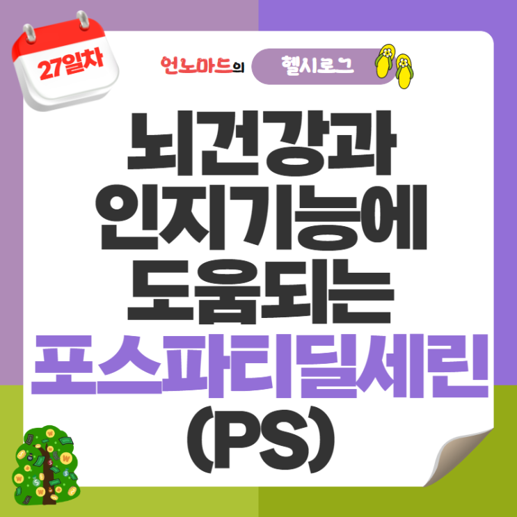  27일차, 뇌건강과 인지기능에 도움되는 포스파티딜 세린(PS)