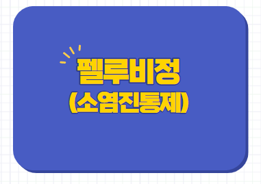  펠루비정 소염진통제 효능 부작용 타이레놀 차이