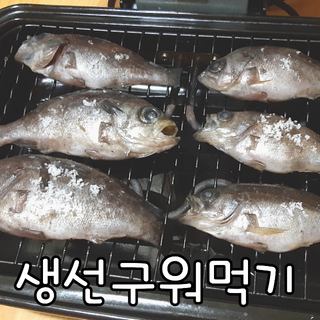  시골에서 바다 낚시로 잡은 생선 볼락 구워 먹던 사진들