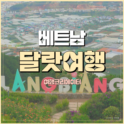  베트남 달랏여행 달랏에서 꼭 가봐야할 곳 랑비앙, 지프차 타고 랑비앙산전망대 LANGBIANG