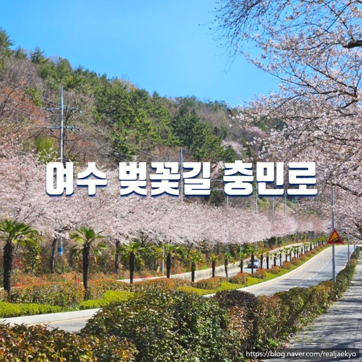  여수 벚꽃 명소 충민로 벚꽃길