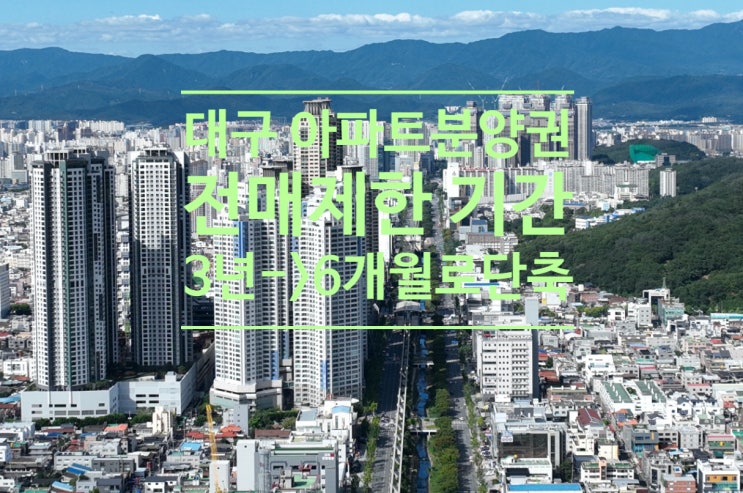  대구 아파트 분양권 전매제한 기간 3년->6개월로 단축