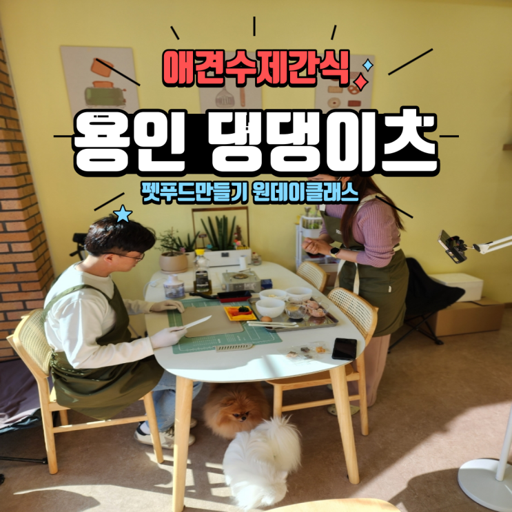  애견수제간식 전문점, 용인 댕댕이츠 강아지 펫푸드만들기 원데이클래스 애견동반 후기