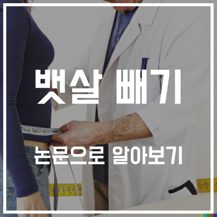  술배 빼는법, 똥배 연구 분석해보기