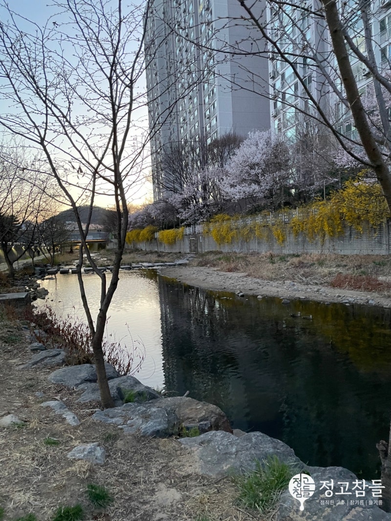 안양 전, 막걸리집 // 안양유원지_김경진 순녹두 빈대떡집
