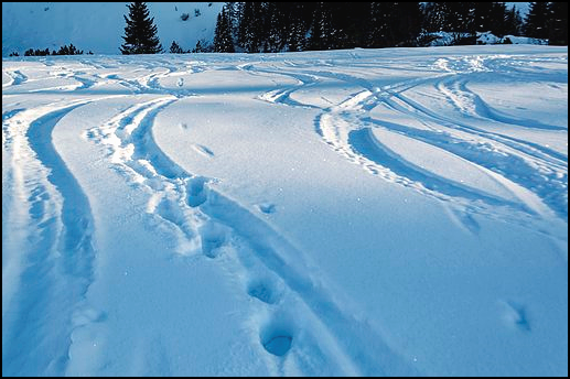  대화형 멀티미디어 콘텐츠 및 토론 포럼이 온라인 학습 참여를 강화하는 5가지 방법