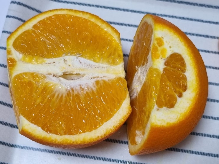당도 높은 신선한 오렌지 고르는 방법 - 오렌지 직접 보고 골라야 하는 이유!