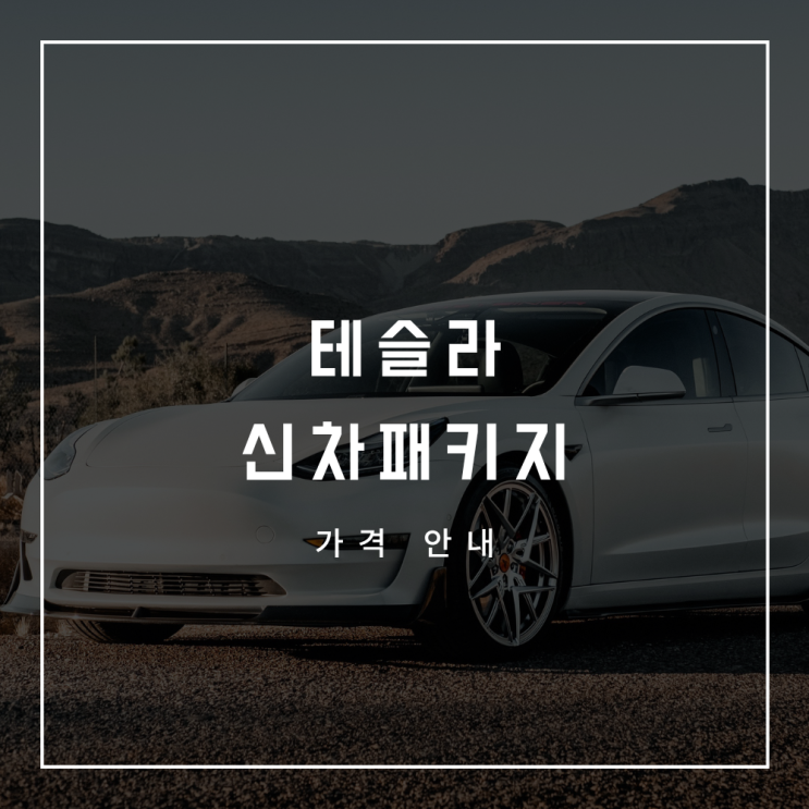  테슬라 신차패키지 가격표