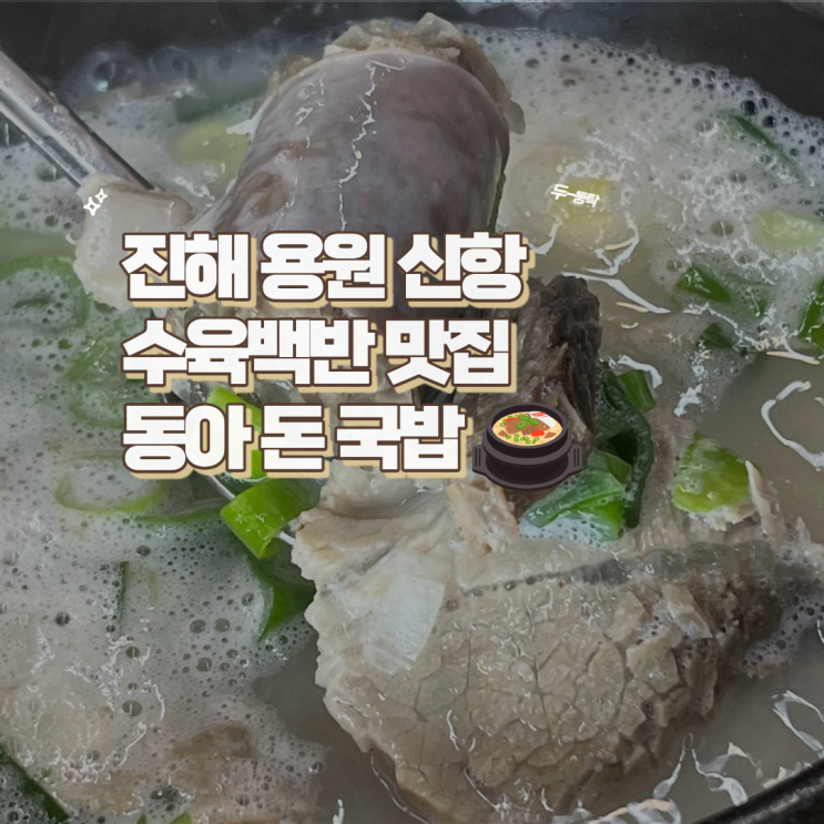  진해 용원 신항 수육백반 잘하는 맛집 동아 돈 국밥