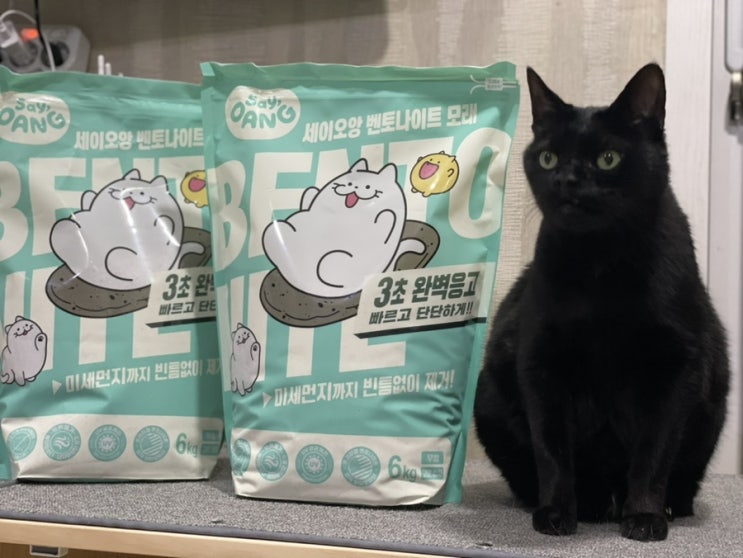  먼지 적은 고양이모래 추천 비마이펫 세이오앙 벤토나이트