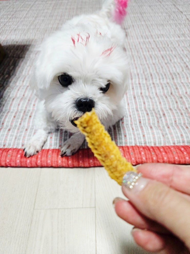 동결건조 휴먼그레이드 등급 애견간식은 더바르개 국내산민물장어