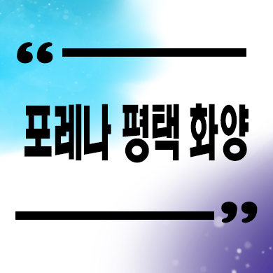  포레나 평택 화양 미분양아파트 한화 1군브랜드 줍줍 잔여세대 분양가 안내