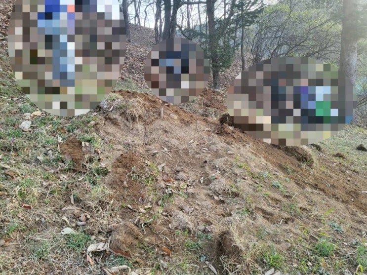  2023년 김천시 대항면 운수리 영천호국원안치 김천고인돌장의사 #윤달 #윤달이장 #윤달화장 #김천윤달 #구미윤달 #상주윤달 #성주윤달 #선산윤달 #문경윤달 #영동#영동윤달 #호국원