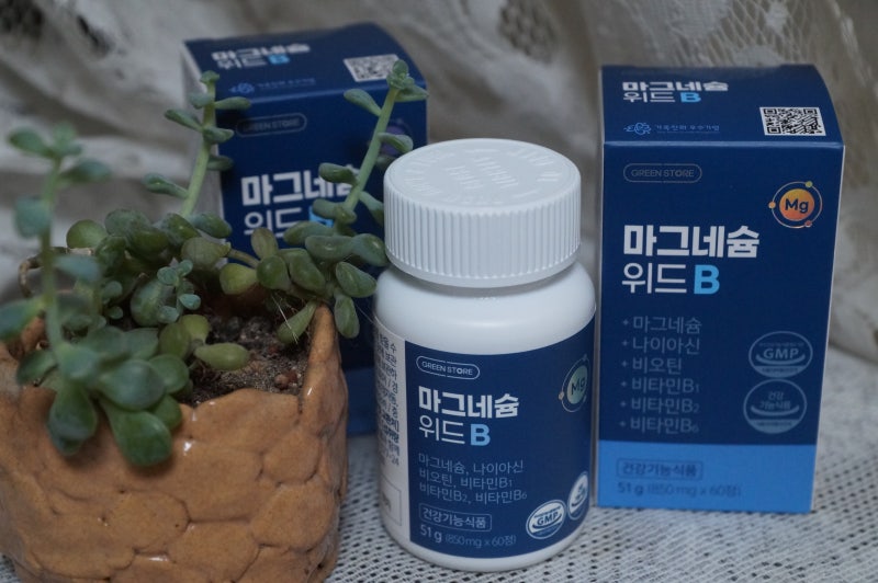 일상생활에서 마그네슘 섭취를 늘리는 실용적인 팁 Feat. 다인컴퍼니