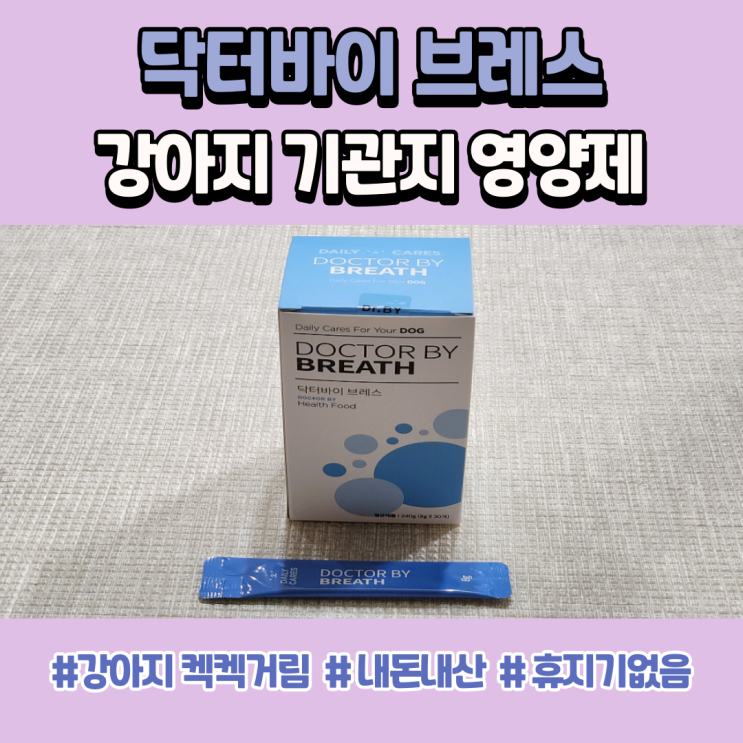  강아지 켁켁거림, 내돈내산 기관지 영양제 닥터바이 브레스