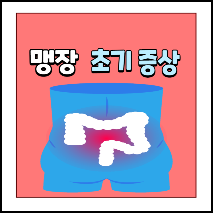 여자 남자 맹장 위치 맹장염 초기증상 맹장 터지는 이유