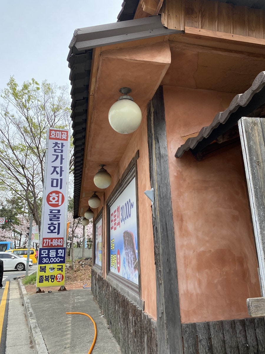 참가자미호미곶 사진 1