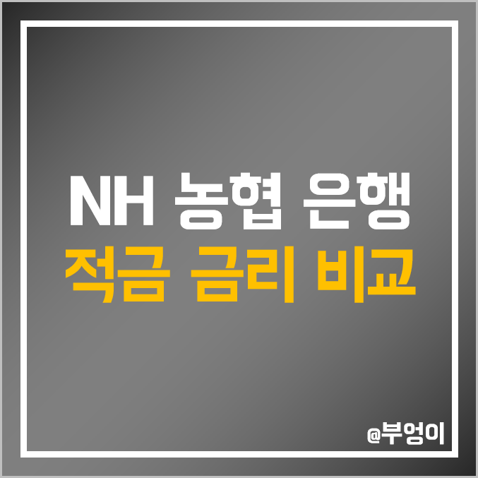 NH 농협 은행 적금 금리 비교 : 정기 및 자유 적립식 이자 높은 곳 - 특판 이자율 순위