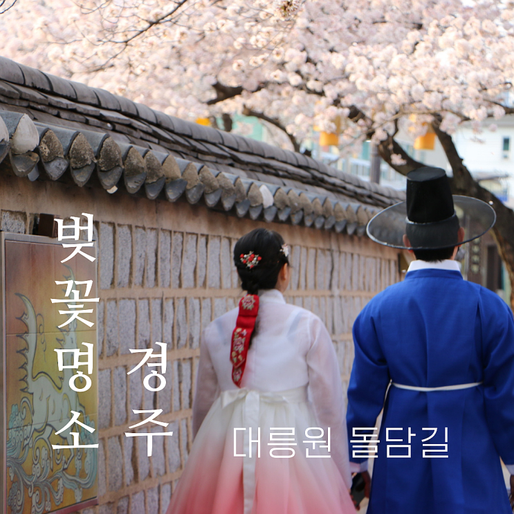  경주 벚꽃 대릉원 돌담길 만개 데이트 추천with보문단지 스타벅스