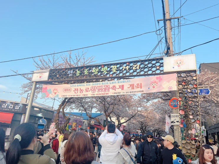  제주 벚꽃 명소는 “전농로 벚꽃축제”