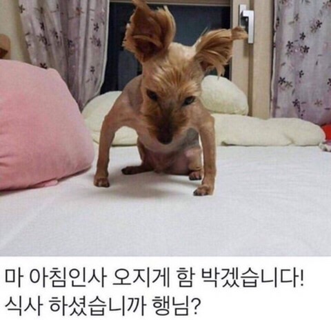  네일팁 구매 방법을 모르겠다? 저를 봐주세요!!