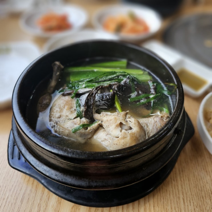  [행주산성] 몸보신하기 좋은 《참조은능이버섯백숙》 삼계탕
