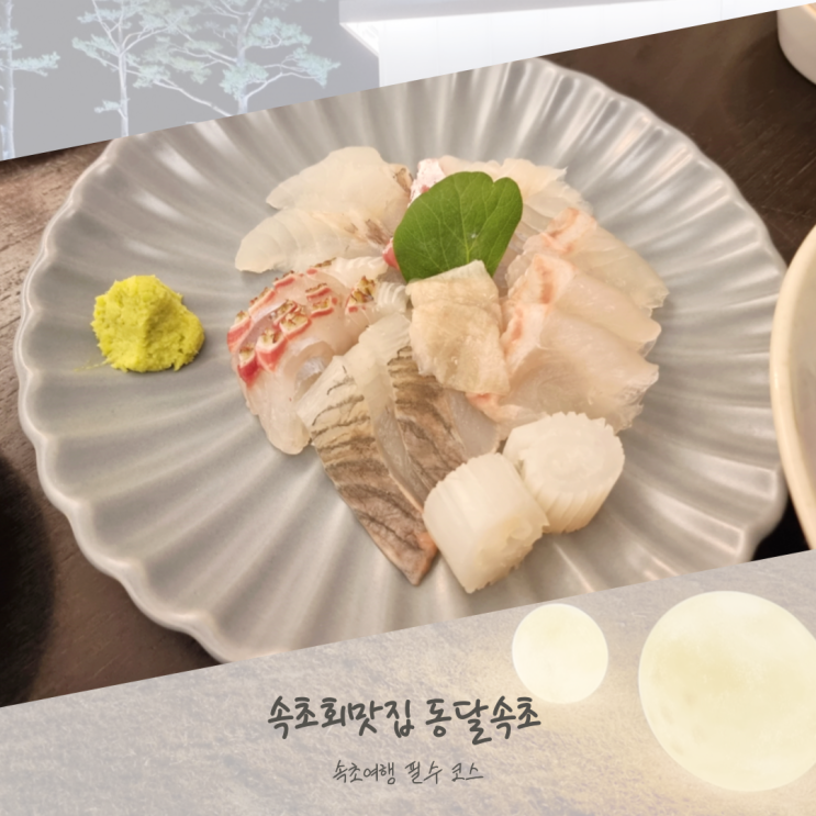  속초여행 필수 코스 동달속초 속초회맛집