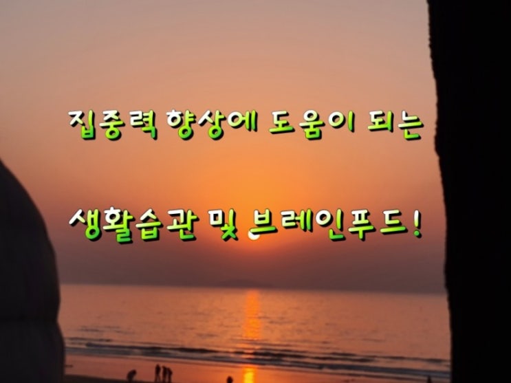 집중력 향상에 도움이 되는 브레인 푸드 음식들! 집중력 향상에 도움이 되는 브레인 푸드 음식들!