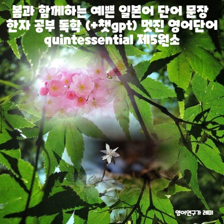 봄과 함께하는 예쁜 일본어 단어 문장 한자 공부 독학 (+챗gpt) 멋진 영어단어 quintessential 제5원소 봄과 함께하는 예쁜 일본어 단어 문장 한자 공부 독학 (+챗gpt) 멋진 영어단어 quintessential 제5원소