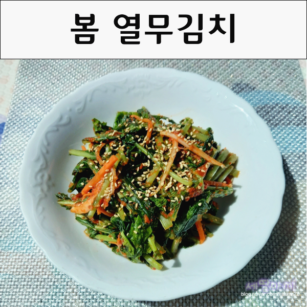  봄 시원한 열무김치 열무 겉절이 담그기