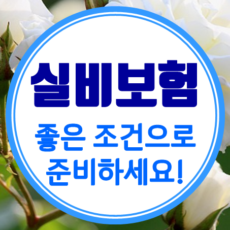  노후실손의료보험 추천 : 인터넷으로 60세 실비보험 가격 비교 해보고 적합한 가입조건을 찾아보세요.