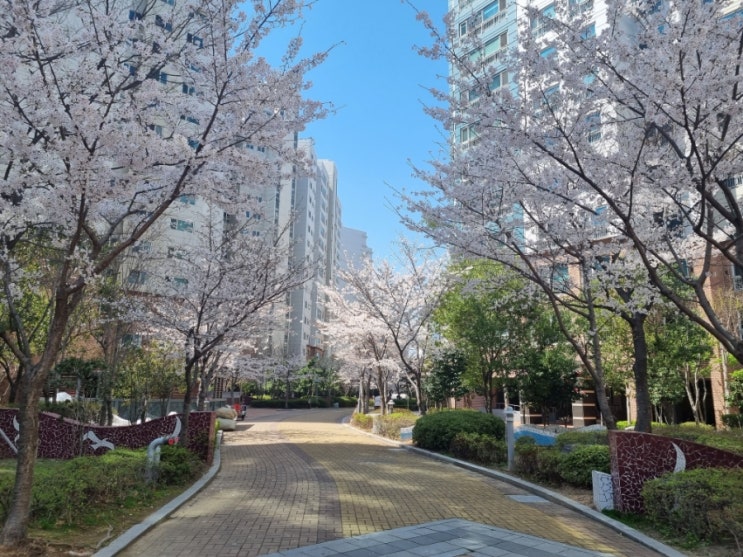  녹내장 조심하세요.(부산대학병원 정기검사)