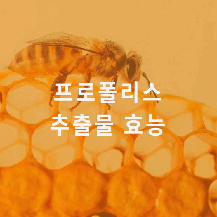  프로폴리스 추출물 (propolis extract) : 효능 효과, 뜻, 권장량, 섭취량