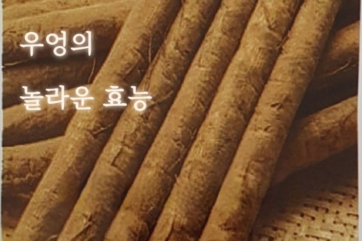   우엉의 놀라운 효능 