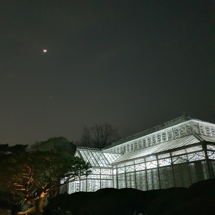  [서울] 창경궁 대온실 야간개장 추천데이트 / 궁궐나들이 / 종로맛집