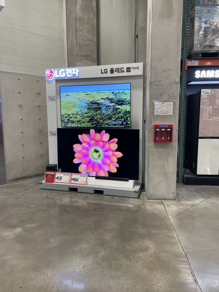  코스트코부산 3월마지막째주 할인및 정보