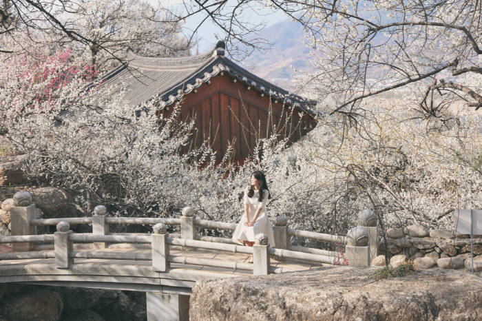  인터넷 가입비교