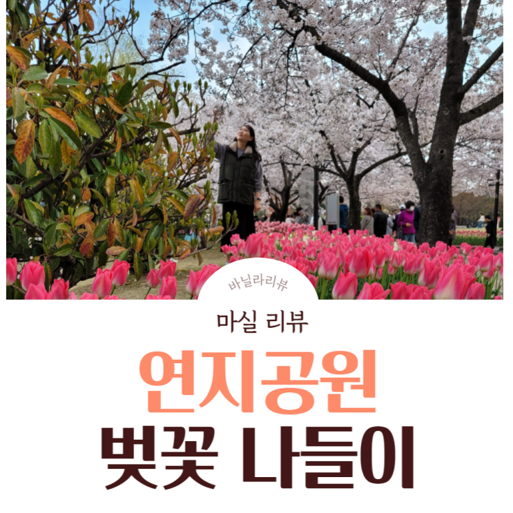 김해 벚꽃나들이는 연지공원이 최고!! 낮과 밤은 완전 달라요!~~ 튤립,오사카여행 안부럽구만~
