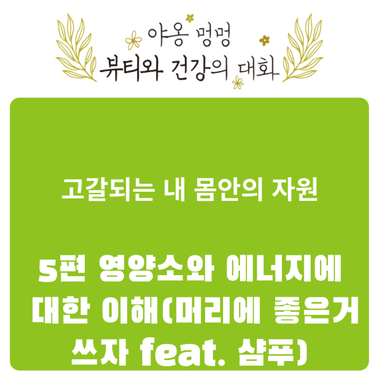  고갈되는 내 몸 안의 자원: 5편 영양소와 에너지에 대한 이해(머리에 좋은 거 쓰자 feat. 샴푸)