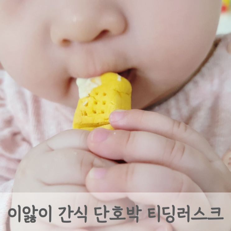 [이앓이 과자] 단호박 티딩러스크 만들기 6개월 7개월 8개월 아기 간식