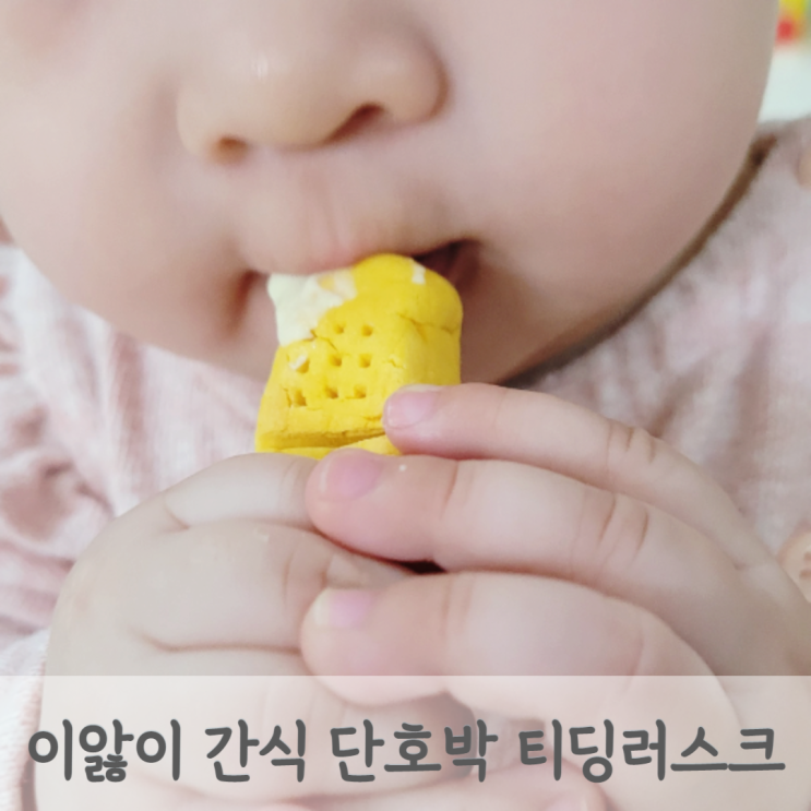  [이앓이 과자] 단호박 티딩러스크 만들기 6개월 7개월 8개월 아기 간식