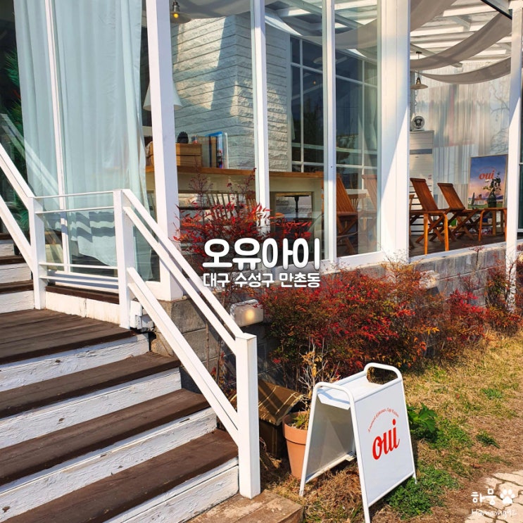  대구 만촌동 수성구청역 애견동반 브런치카페 오유아이 oui