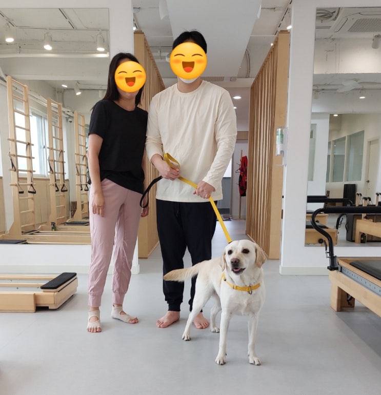 국제 강아지의날 리트리버 밤 특별한 나들이 남산 야외식물원 산책 국제 강아지의날 리트리버 밤 특별한 나들이 남산 야외식물원 산책