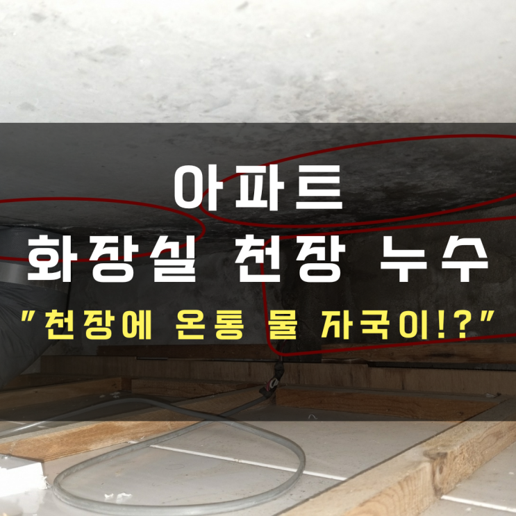  수원누수탐지 탑동 아파트 화장실 천장 누수-천장에 온통 물 자국이!?