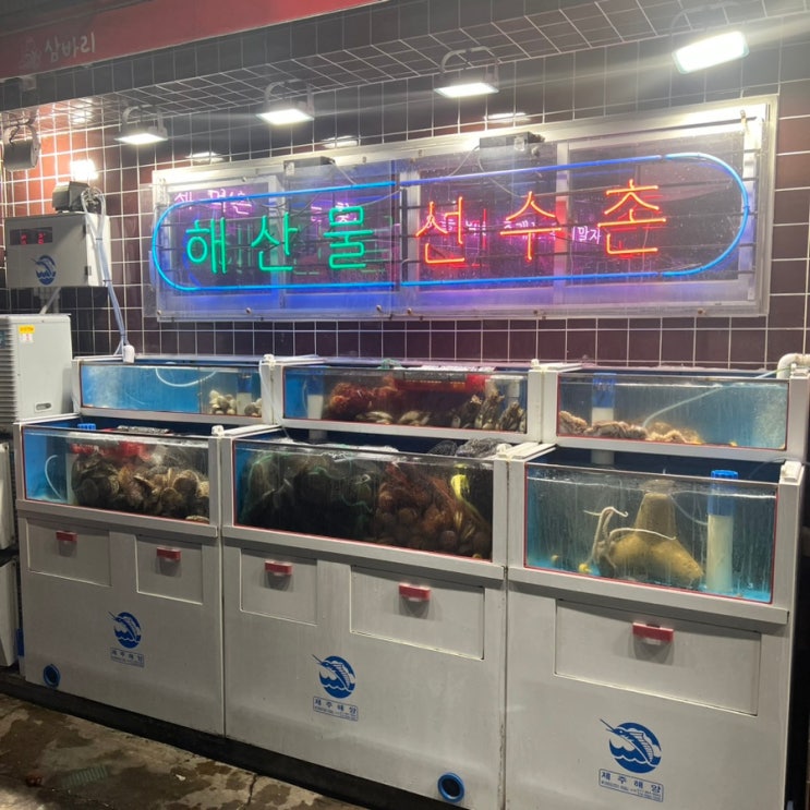  대구신천시장 모듬조개구이 맛집 삼바리에서 한잔해요
